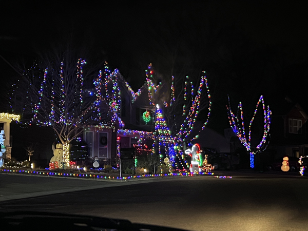 Christmas Decorations in Shelly Woods