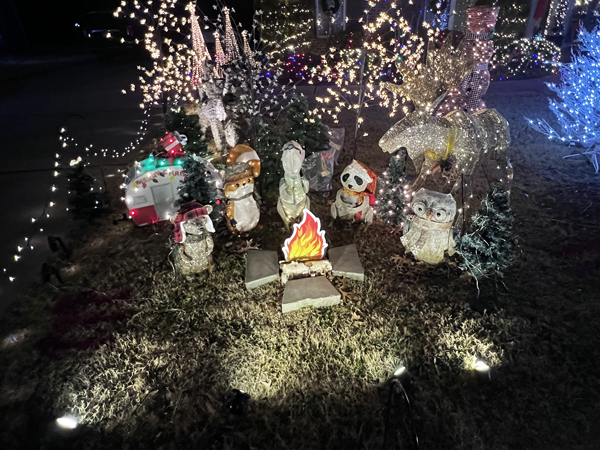 Christmas critters enjoying a fire pit