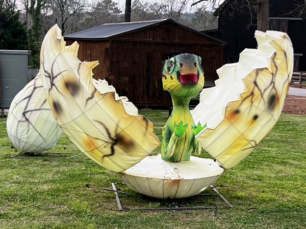 baby hatching from and egg