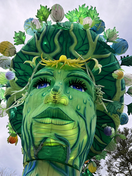 flower changing tree