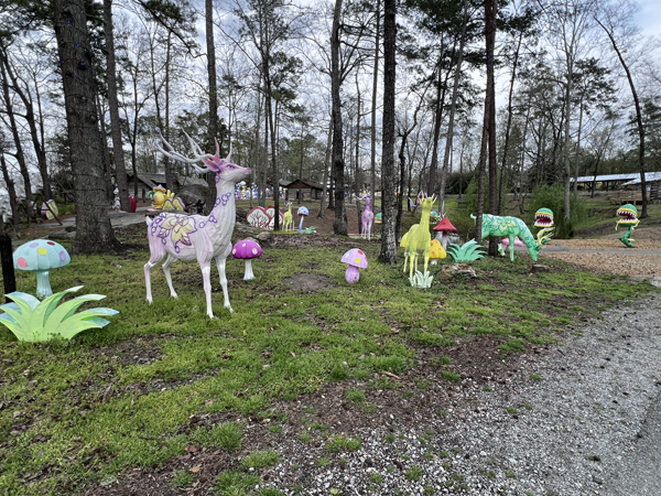 wildife at the Lantern Festival