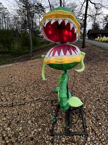 One of several plants that can eat you