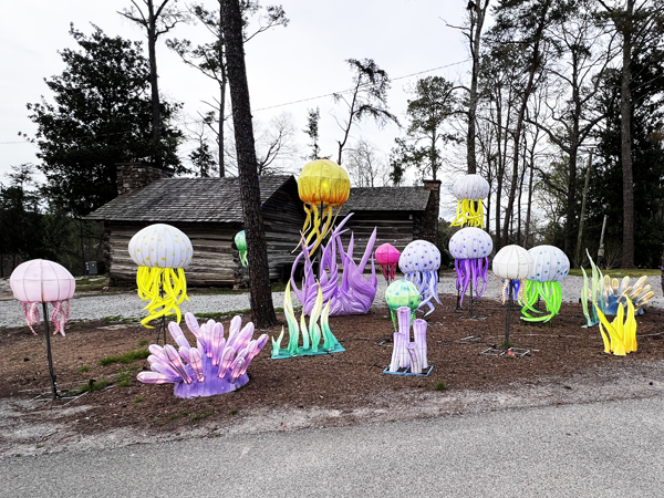 mushrooms and sea creatures