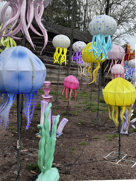 mushrooms and sea creatures