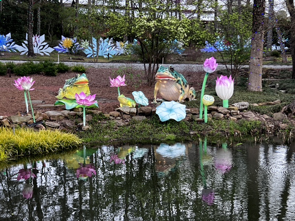 A great reflection in the pond