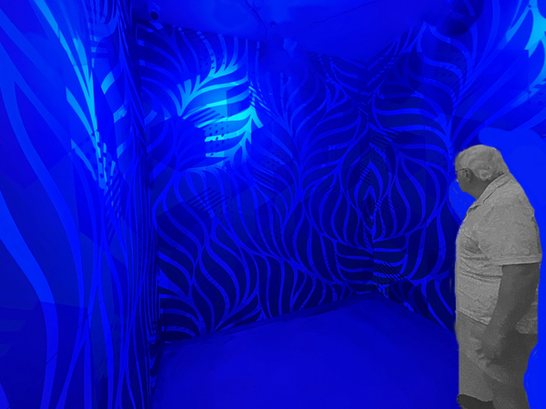 Lee duquette in the The RGB Room