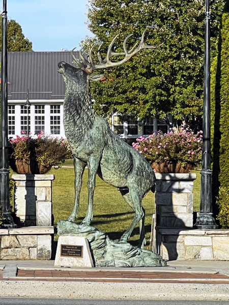 deer stateu
