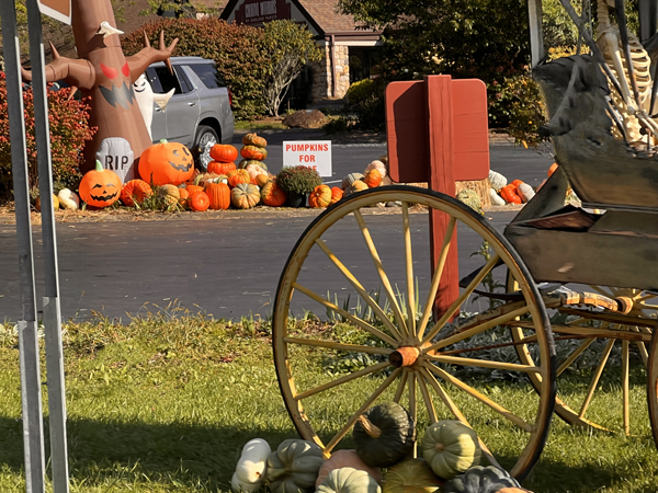 Halloween decor