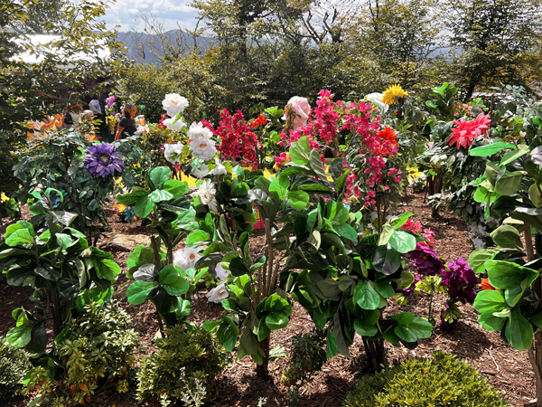 flowers