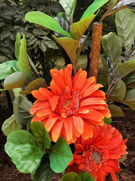 flowers
