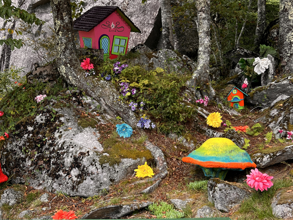 house, flowers and mushroom