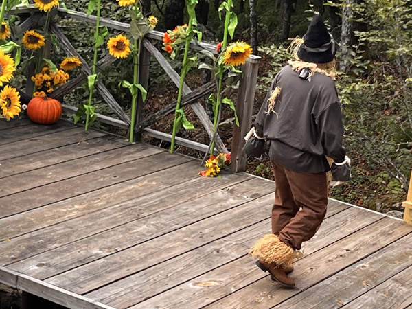 the Scarecrow