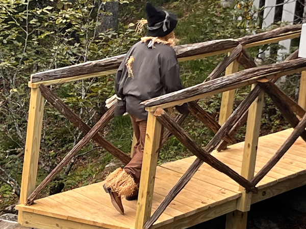 the Scarecrow