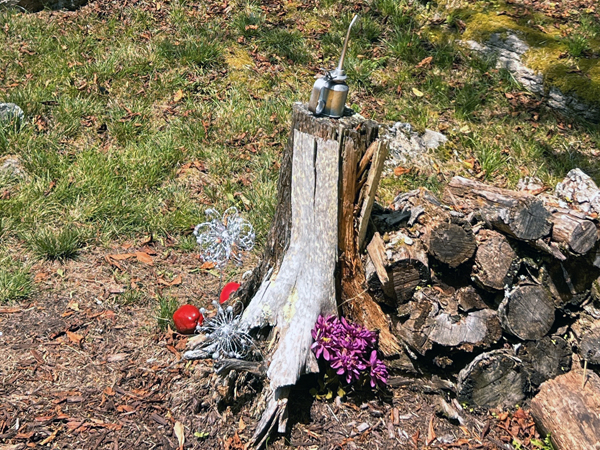 tree stump