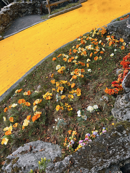 The Yellow Brick Road and flowers