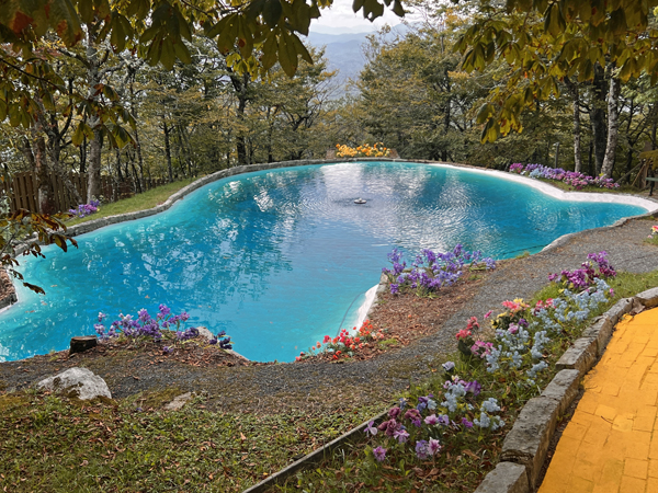 colorful pond