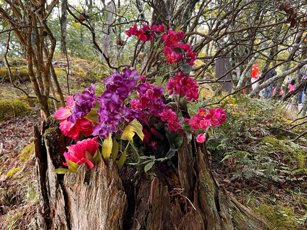 flowers