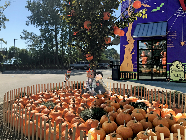 Halloween at Bojangles in Conway SC