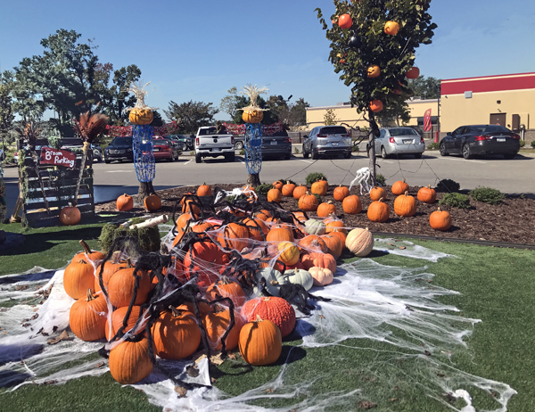 Halloween at Bojangles in Conway SC