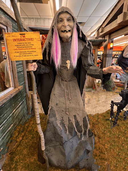 Interactive witch