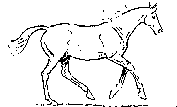 animated horse clipart