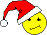 smile face with Santa hat
