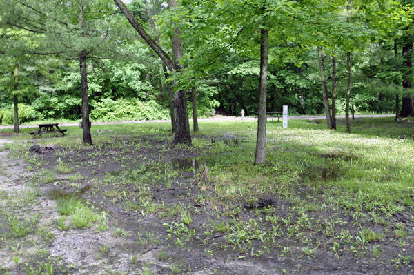 a wet campsite at Thousand Trails in Michigan