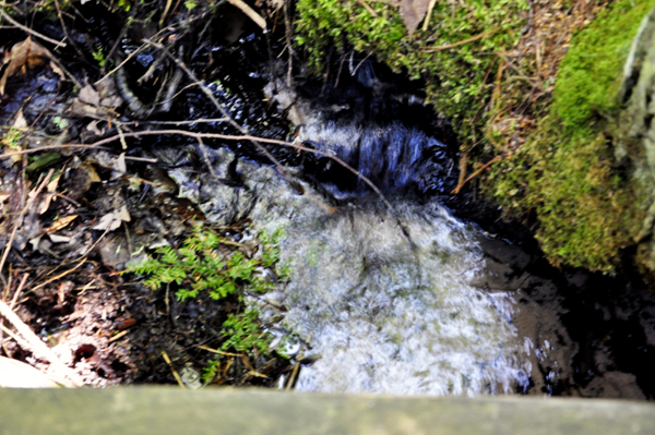many springs at Largo Springs