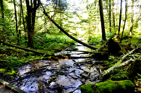 Water flows everywhere