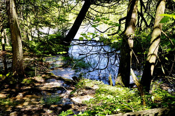 Water flows everywhere