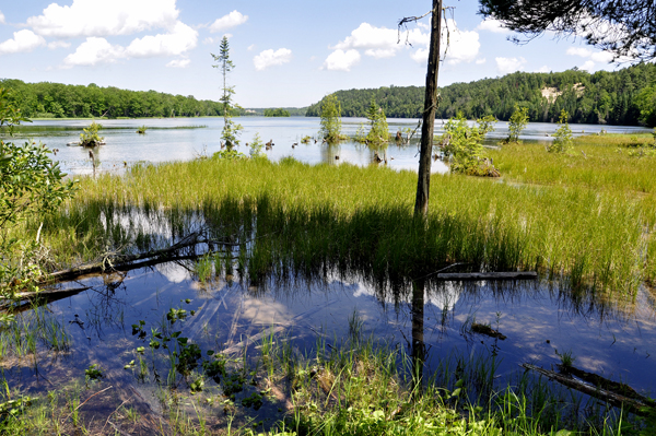 a spectacular view of the AuSable River