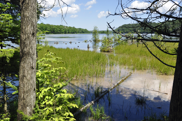 a spectacular view of the AuSable River