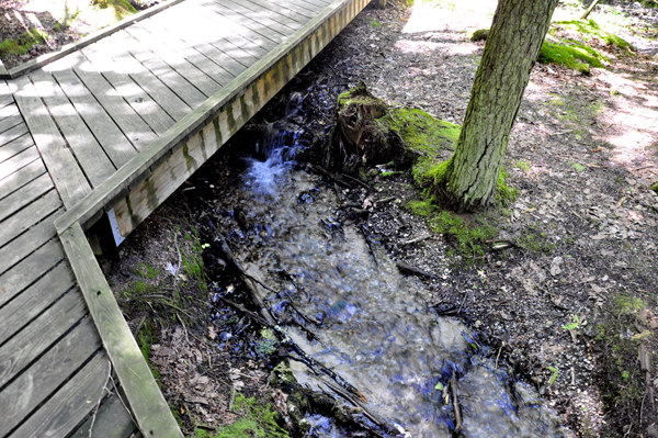 view from the boardwalk at Largo Springs