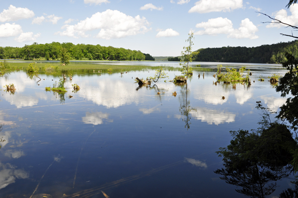 a spectacular view of the AuSable River