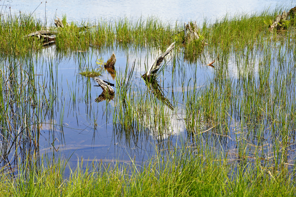 a spectacular view of the AuSable River
