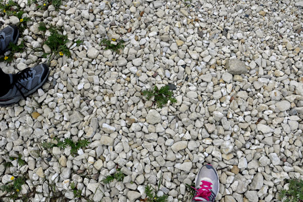 stones on the beach, not shells