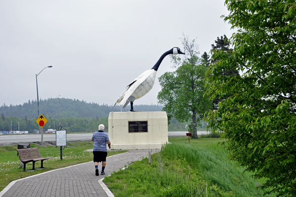 Lee Duquette and the Wawa Goose