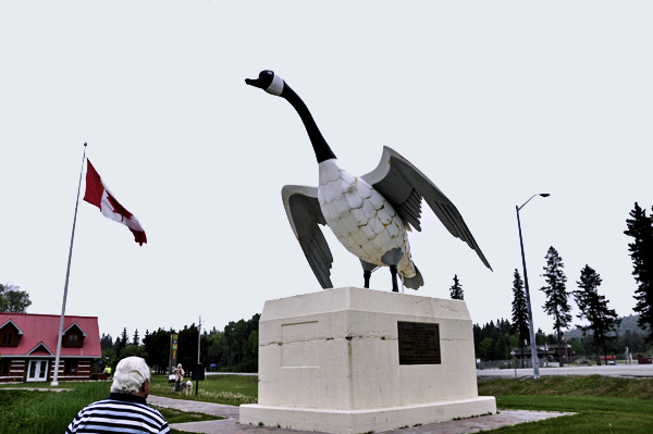 Lee Duquette and the Wawa Goose