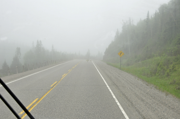 driving in the fog