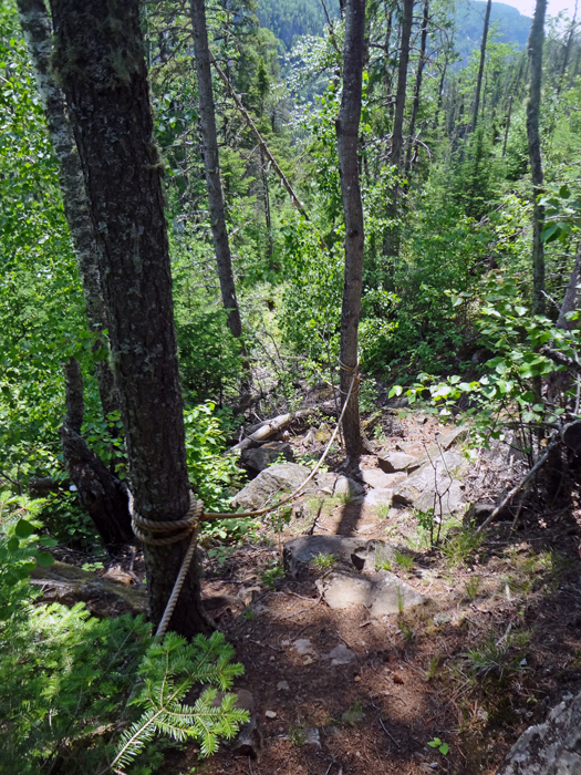 The rope, tree stumps, and nasty trail