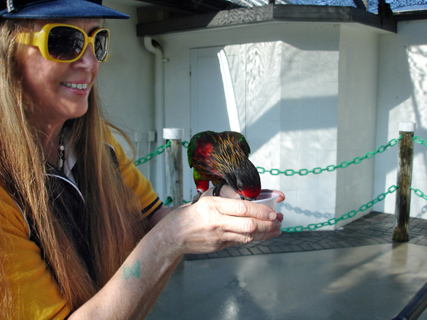 Karen Duquette holds and feeds the birds.