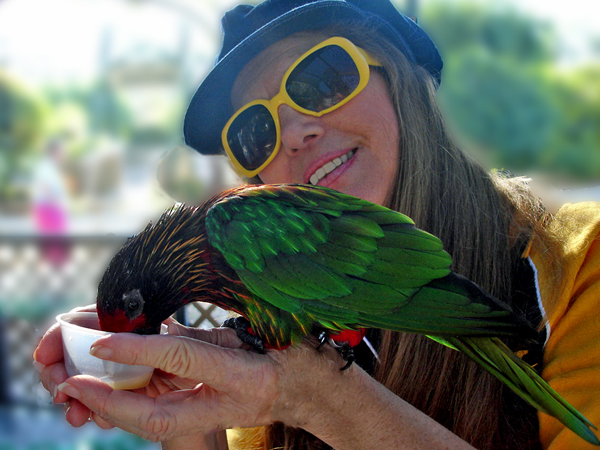 Karen Duquette holds and feeds the birds.