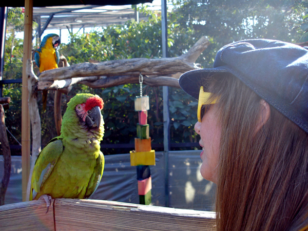 Karen Duquette and a parrot