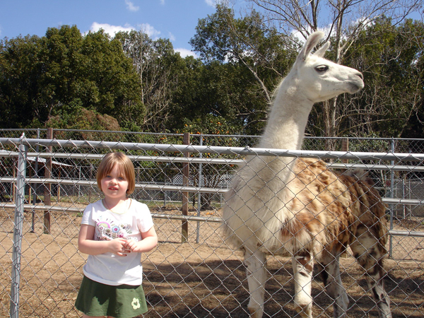 Kaitlynn and a llama