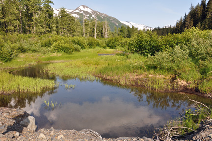 a pond near the glacier