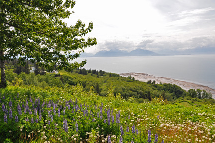 view of Homer Spit, Kachemak Bay and Cook Inlet