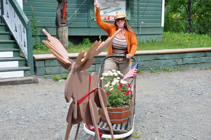 Karen Duquette mushing a moose sled