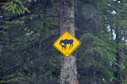 moose and baby sign