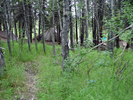 Scott's camp