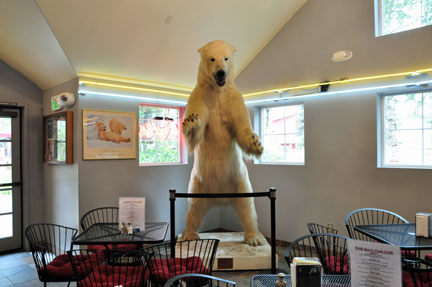 stuffed bear in the cafe